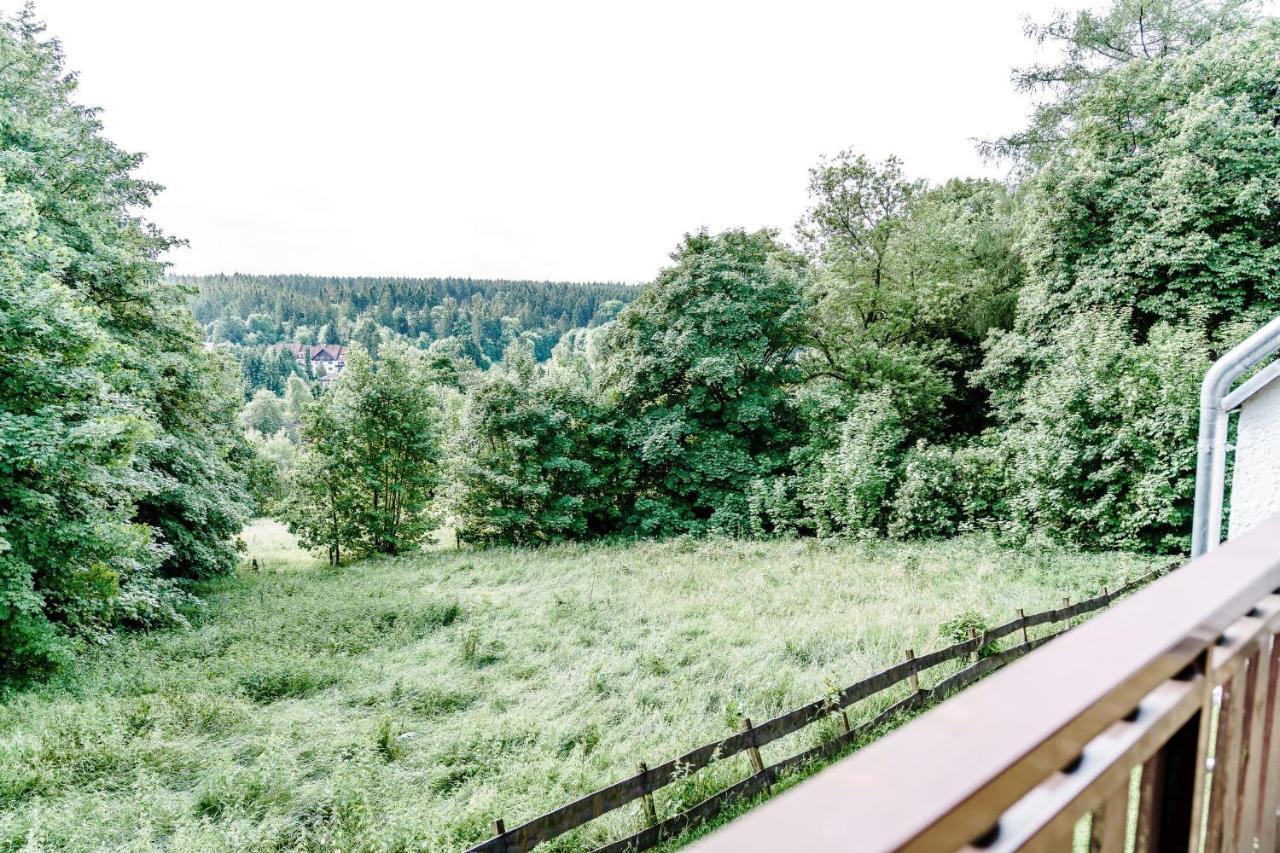 Wiesenblick Goslar Bagian luar foto